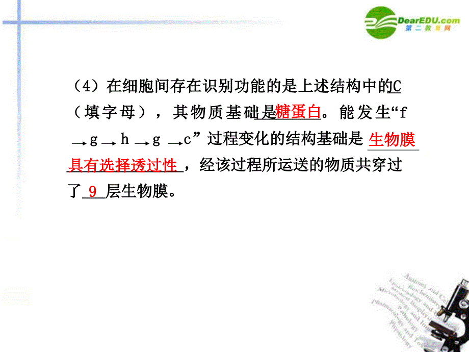 高考生物 有关生物膜结构和功能的综合应用案例精选课件_第3页