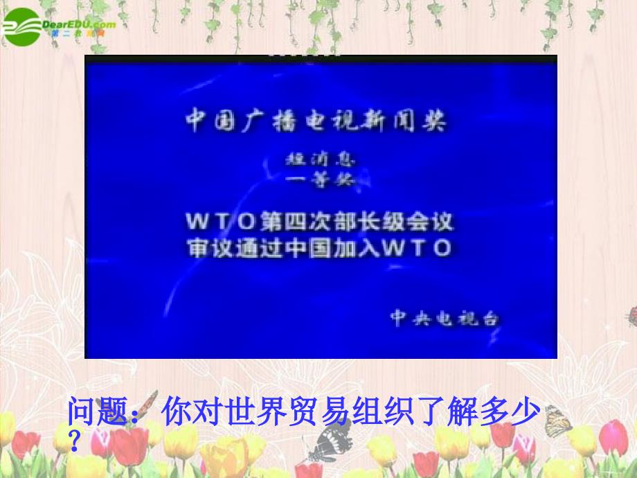 高中政治 第四单元 十一课 积极参与国际经济竞争与合作1课件 新人教版必修1_第2页