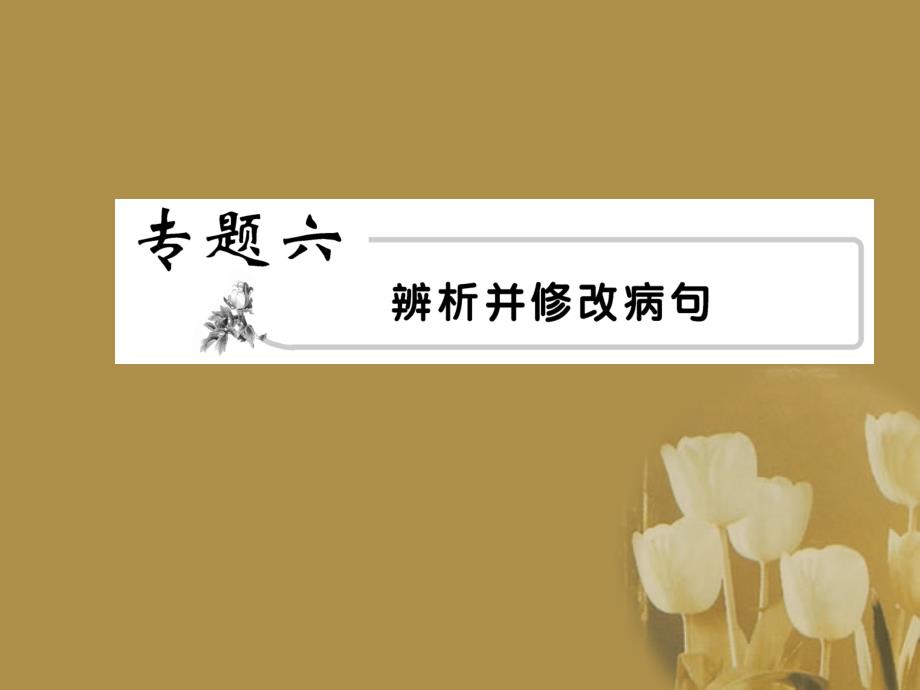 2018年高考语文 6辨析并修改病句模块突破复习课件_第1页