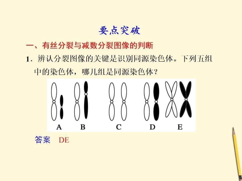 2018届高考生物二轮专题 知识专题3学案5 细胞的增殖和受精作用复习课件_第5页