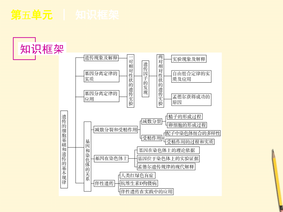 2018年高考生物专题复习 第5单元-孟德尔定律染色体与遗传课件 浙科版_第3页