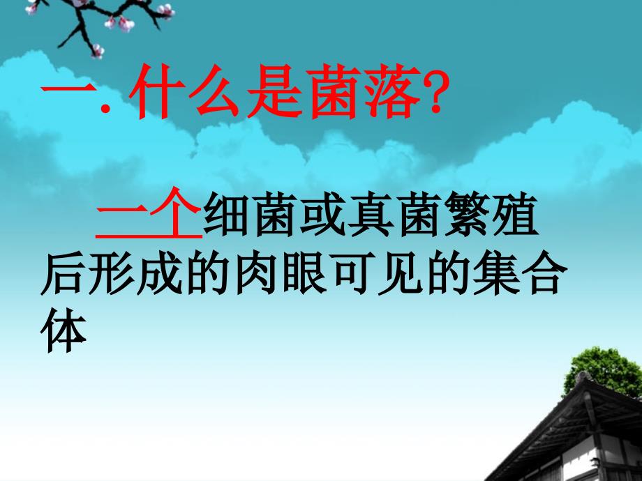 福建省大田县八年级生物《细菌和真菌的分布》课件_第4页