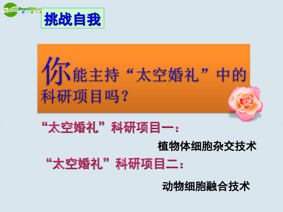 高中生物 物细胞融合与单克隆抗体课件 新人教版必修1_第4页