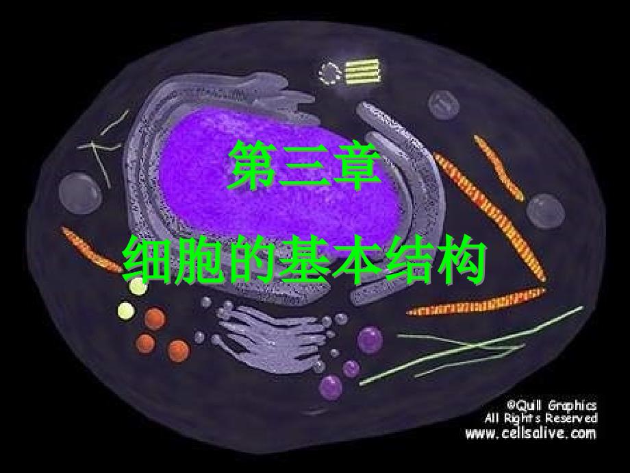 2018年高中生物 第1节细胞膜—系统的边界课件3 新人教版必修1 _第1页