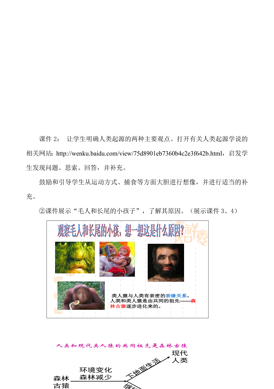 2.1人类的起源 教案3（生物济南版八年级下册）.doc_第4页