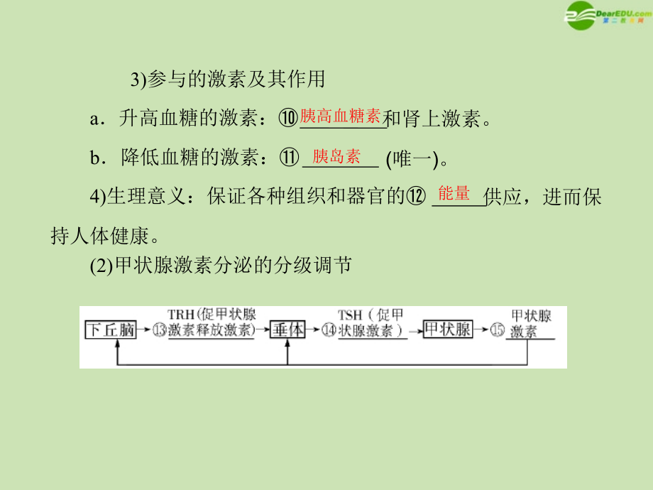 2018年高考生物一轮复习 第2章 第2、3节 通过激素的调节、神经调节与体液调节的关系课件 新人教版必修3_第3页