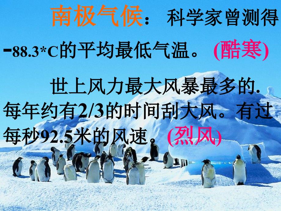 广东省佛山市中大附中三水实验中学七年级语文下册《伟大的悲剧》课件1 新人教版_第3页