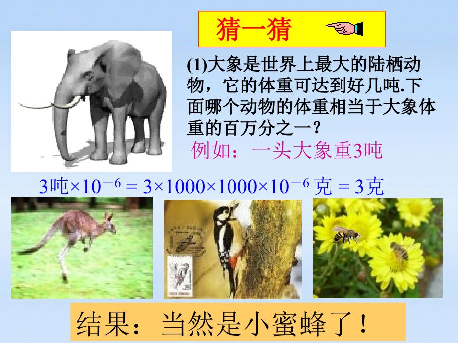 山西省太原37中七年级数学 第三章《第一节 认识百万分之一（1）》课件_第2页