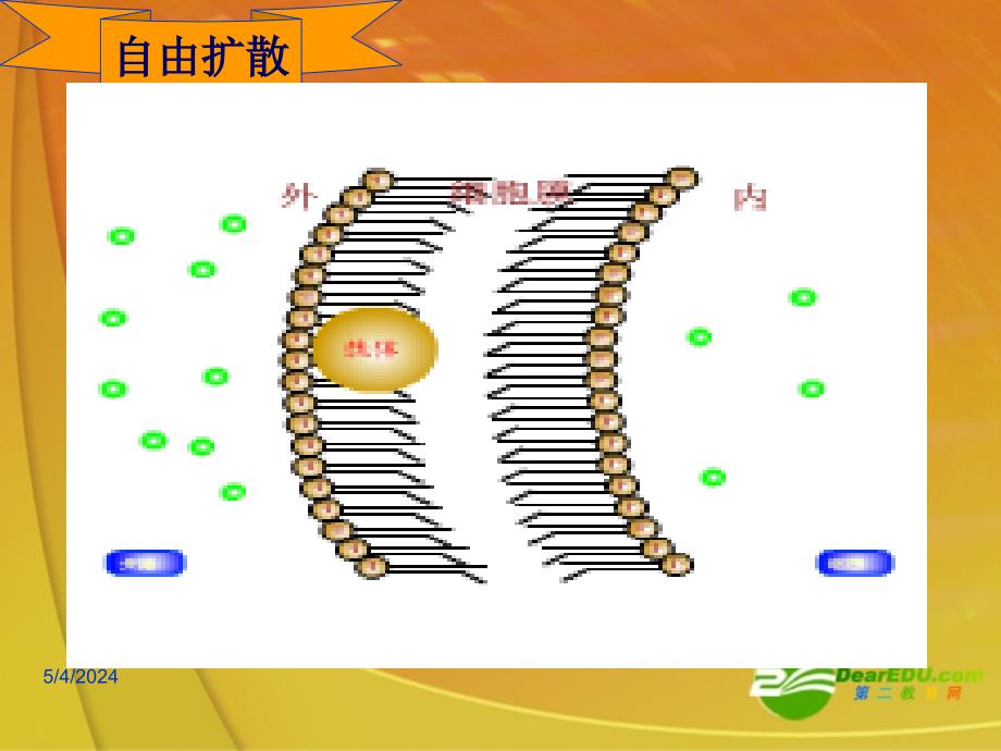 高中生物 4.3《物质的跨膜运输方式》课件 新人教必修1 _第4页