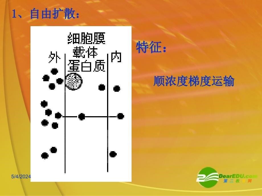 高中生物 4.3《物质的跨膜运输方式》课件 新人教必修1 _第5页