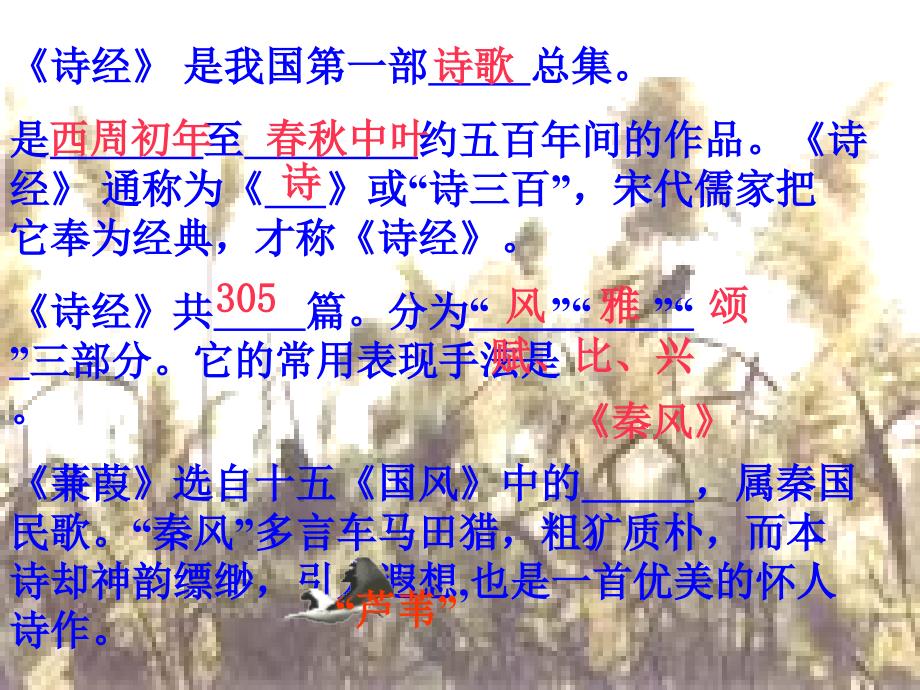 《蒹葭》ppt课件1.ppt_第2页