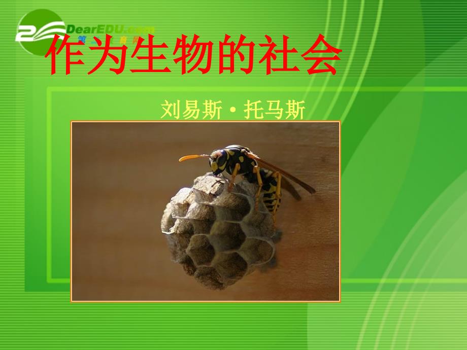 高中语文 作为生物的社会 教学课件 新人教版必修5_第1页