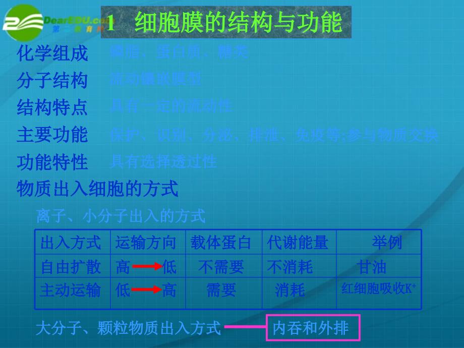 高中生物课件 2.1细胞的结构与功能课件 _第3页