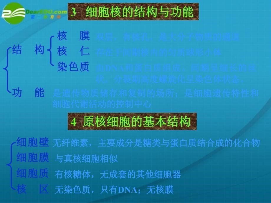 高中生物课件 2.1细胞的结构与功能课件 _第5页