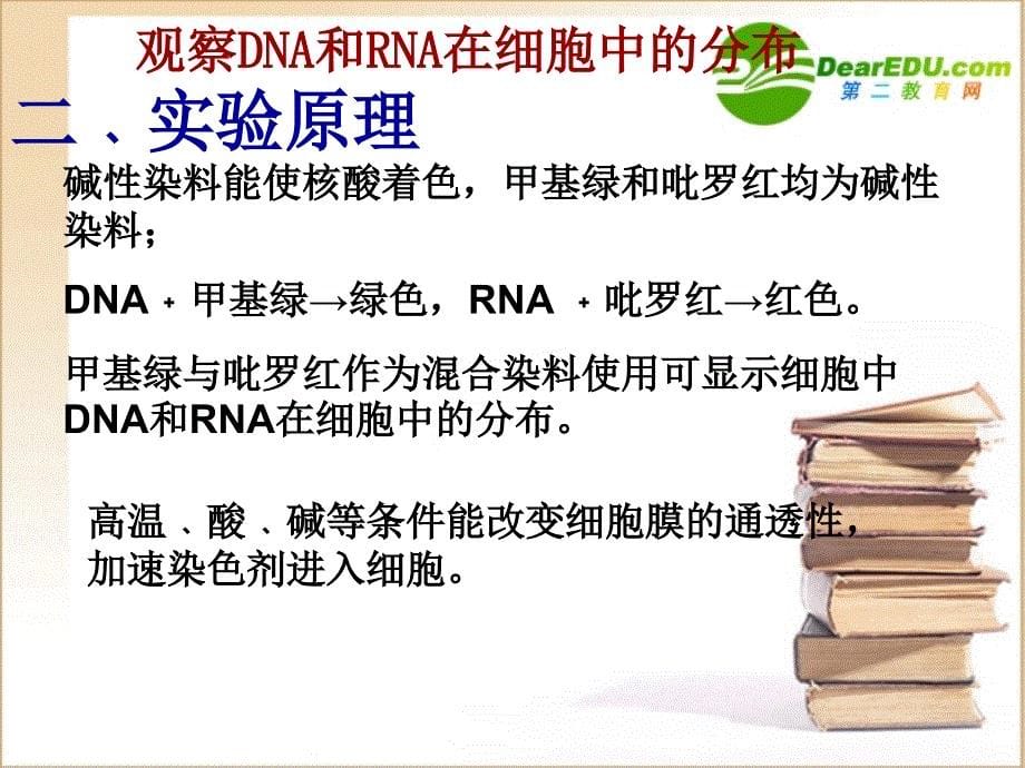 高一生物 《观察dna和rna在细胞中的分布》课件 新人教版必修1_第5页