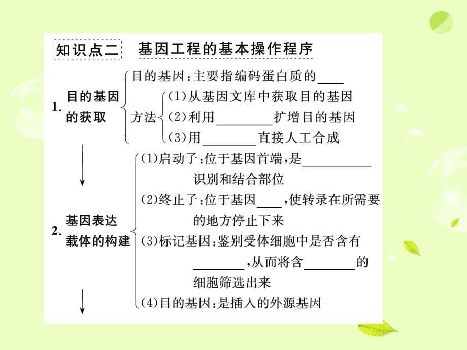 2018届高三生物专题复习 现代生物科技专题课件_第5页