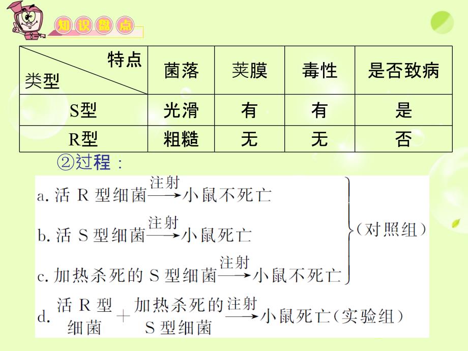 2018届高三生物复习 第15讲 dna是主要的遗传物质和dna分子的结构课件 新人教版必修2_第4页