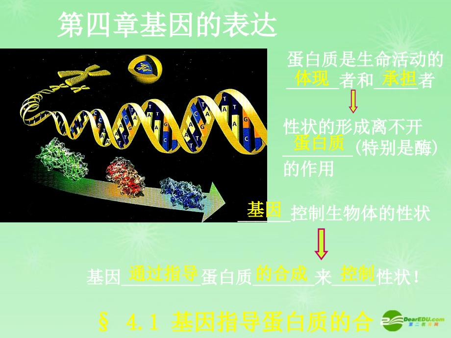 高中生物 4.1 基因指导蛋白质的合成课件 新人教版必修2_第1页