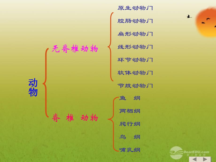 广西灵山县陆屋中学八年级生物上册《水中生活的动物》课件 人教新课标版_第2页