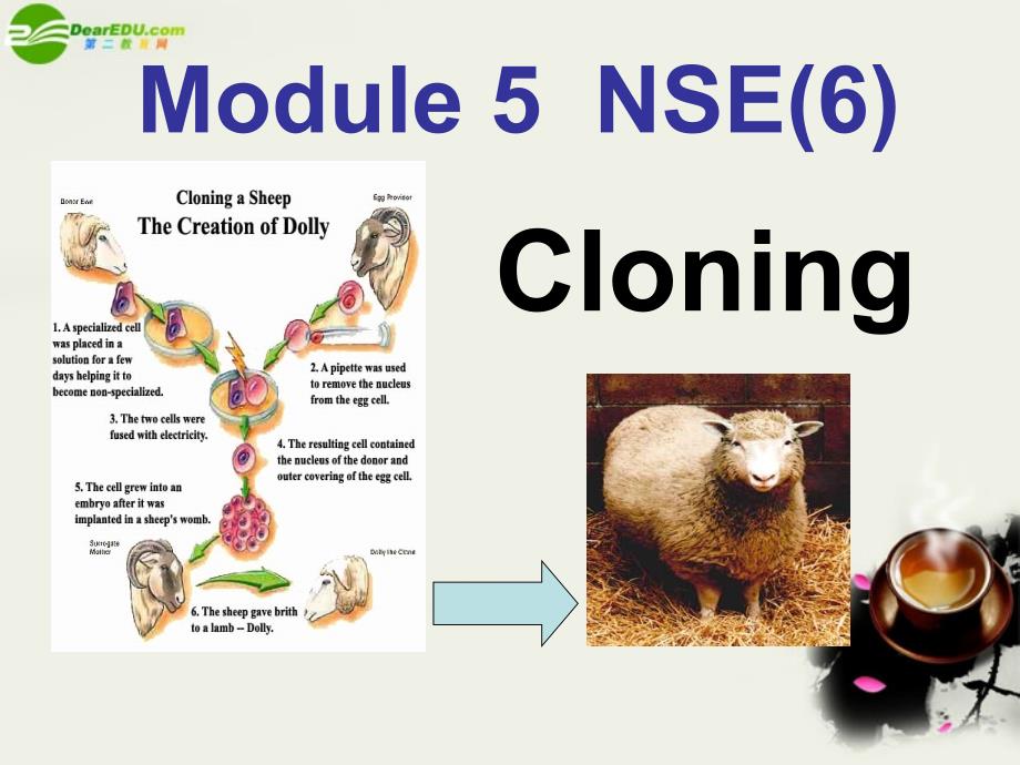 高中英语 module5《cloning》listening,spenking and writin课件1 外研版选修6_第1页