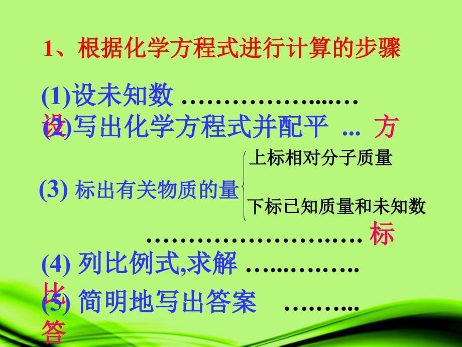 陕西省神木县九年级化学《质量守恒定律》课件2 新人教版_第5页