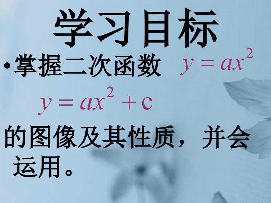 广东省佛山市中大附中三水实验中学九年级数学下册《二次函数》课件2 新人教版_第2页