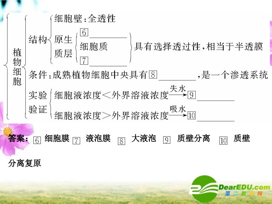 2018届高考生物第一轮基础自主梳理 细胞的物质输入和输出复习课件 新人教版_第4页