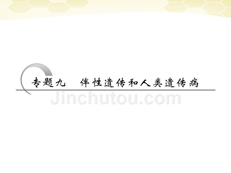 2018届高考生物二轮复习 第二部分 专题九 伴性遗传和人类遗传病课件_第2页