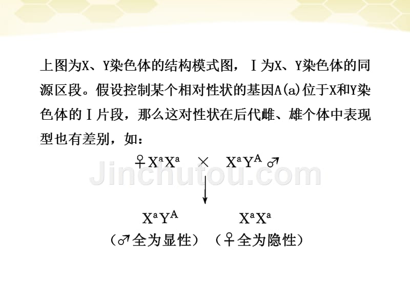 2018届高考生物二轮复习 第二部分 专题九 伴性遗传和人类遗传病课件_第5页