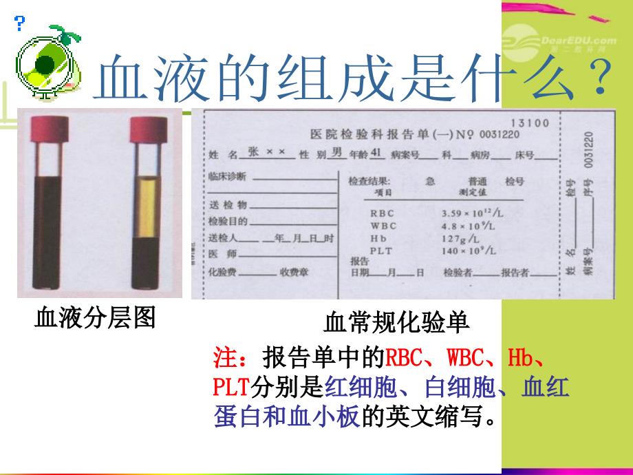 青海省第二分校七年级生物《第一节血液》课件 人教新课标版_第4页