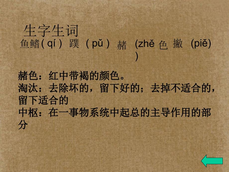 甘肃省酒泉市瓜州二中八年级语文下册《我们这双手》课件 北师大版_第3页