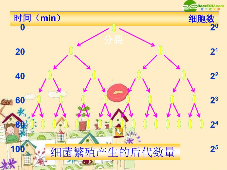 高中生物 31《生物群落的基本单位——种群》课件 苏教版必修3_第3页