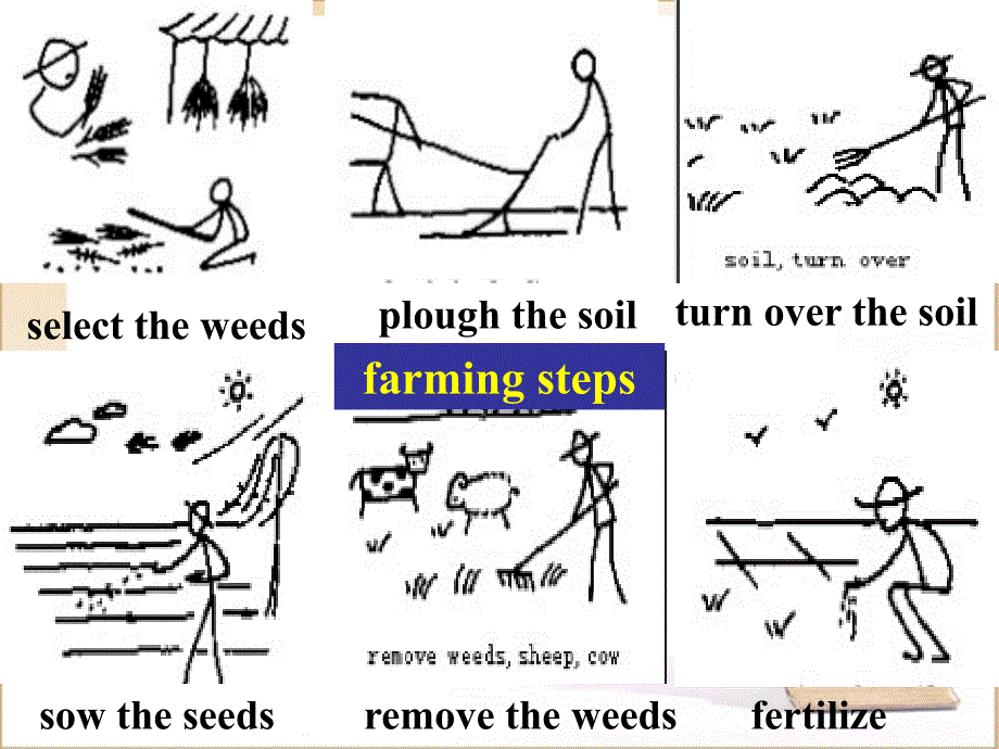 高中英语 unit2 working the land 课件 新人教版必修4_第4页