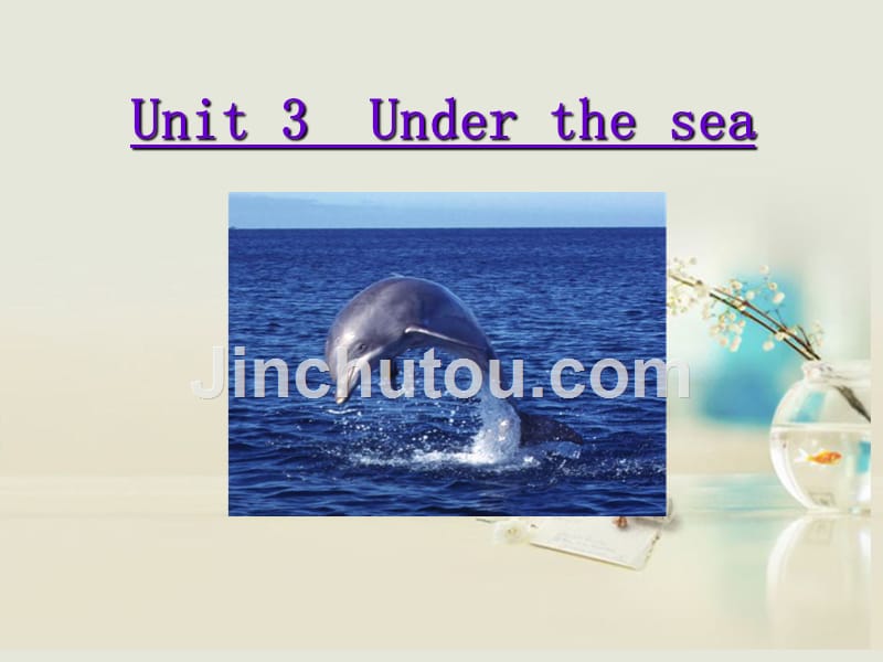 高中英语 unit 3 under the sea reading阅读课件 新人教版选修7_第1页