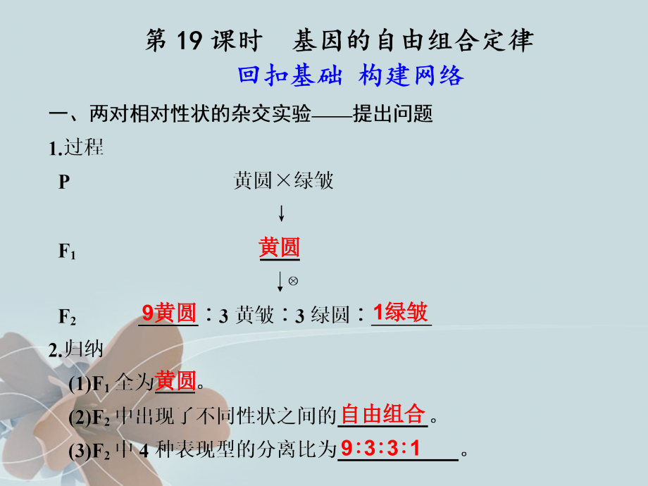 2018届高中生物一轮复习 第六单元 第19课时基因的自由组合定律课件 苏教版必修2_第1页