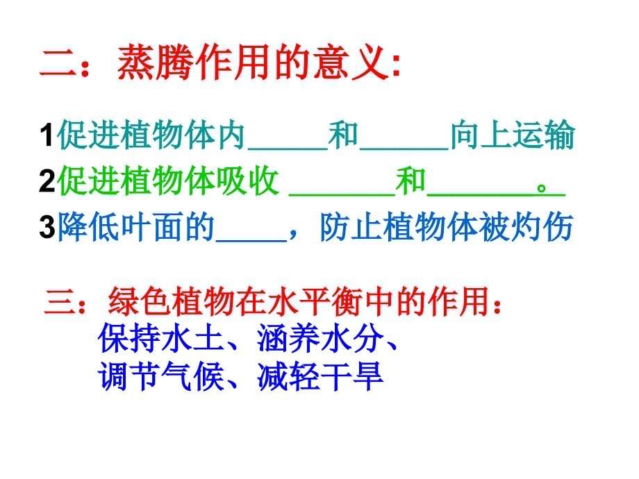 18本章复习与测试 课件（苏教版八年级上册）.ppt_第5页