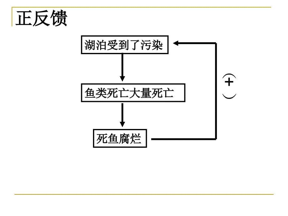 18.3 生态系统的自我调节 课件 （苏科版八年级上） (5).ppt_第5页