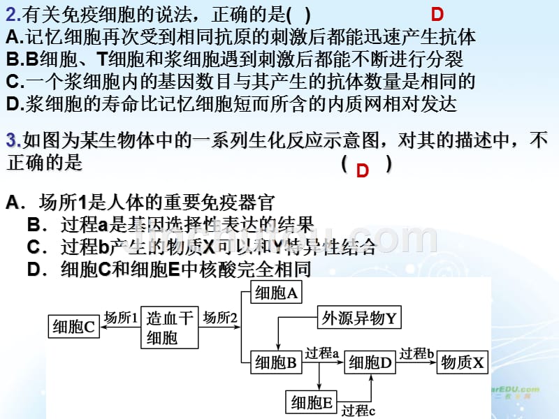 高考生物一轮复习 免疫调节课件_第5页