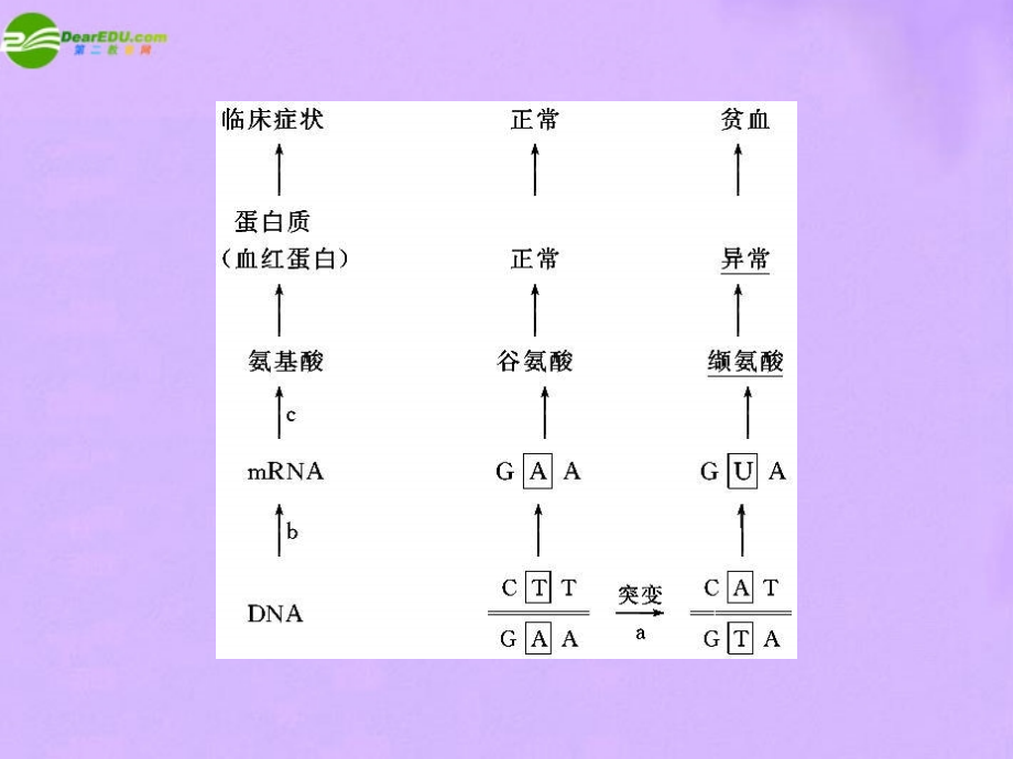 2018届高考生物 考点专题复习课件22_第2页