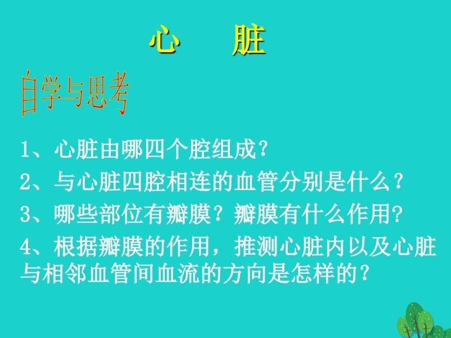 七年级生物下册 第二单元 第二章 第二节 心脏课件 冀少版_第5页