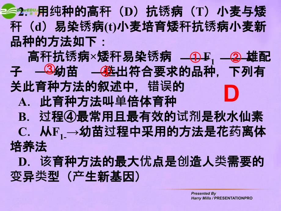 八年级生物下册 变异与进化习题 高考题目整理课件 人教新课标版_第2页