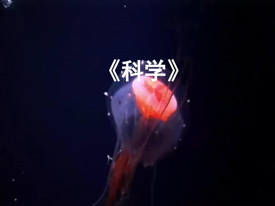 七年级科学上册 走进科学—探索奇妙的自然界课件 （新版）华东师大版_第1页