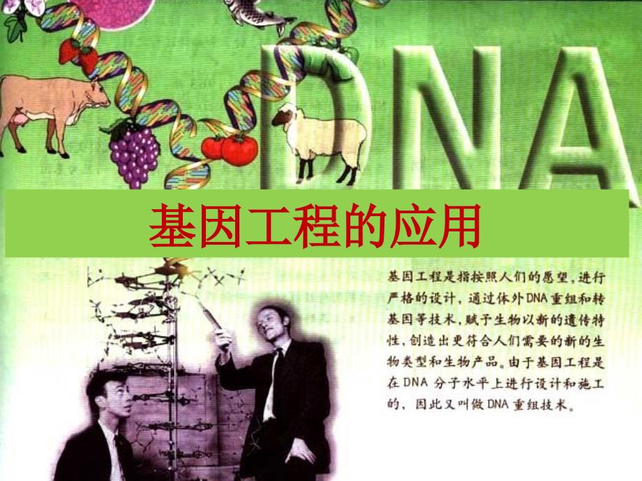 黑龙江省大庆外国语学校高中生物《1.3 基因工程的应用》课件 新人教版选修3_第1页