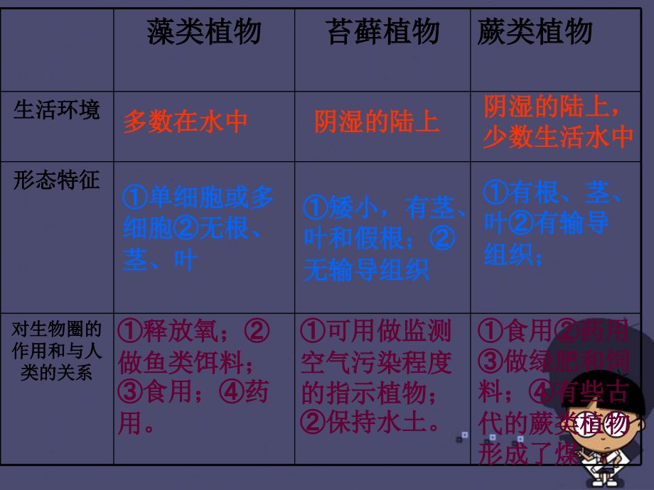 七年级生物上册 第三单元 第二章 被子植物的一生复习课件 （新版）新人教版_第3页