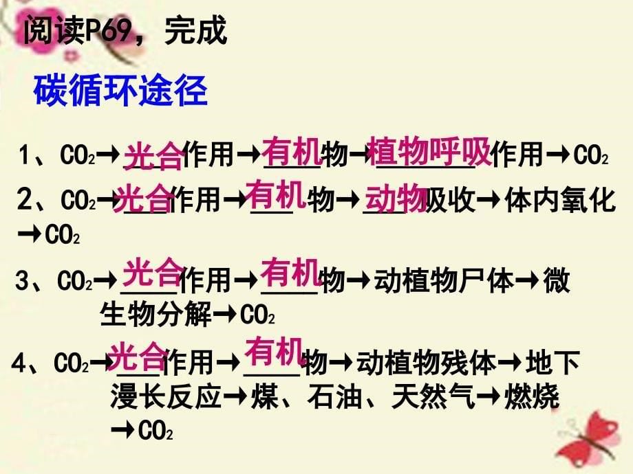 九年级科学下册 第3章 第3节 自然界的碳循环和氧循环课件5 （新版）华东师大版_第5页