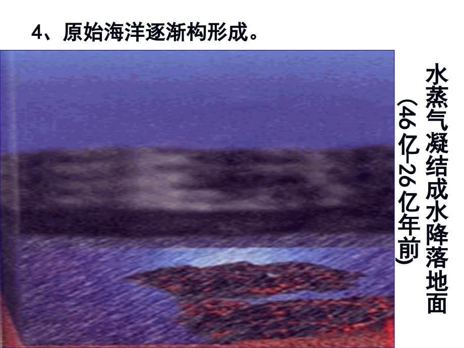 21.2生物的进化 课件5（生物北师大版八年级下册）.ppt_第5页