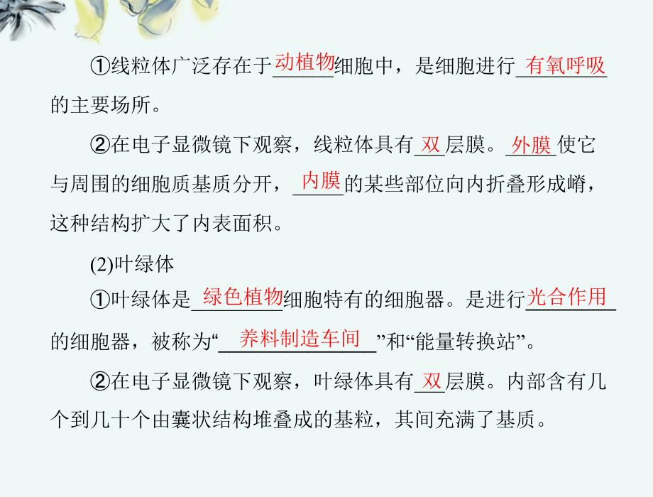 黑龙江高中生物 第3章 第2节 细胞器—系统内的分工合作课件 新人教版必修1_第2页