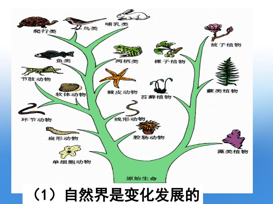 高中政治 事物是变化发展的课件 人民版必修4_第3页