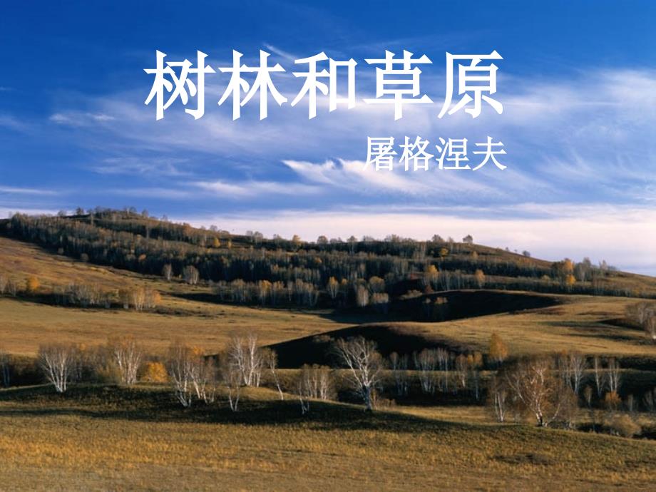 七年级语文上册 第12课《树林和草原》教学课件 语文版_第1页