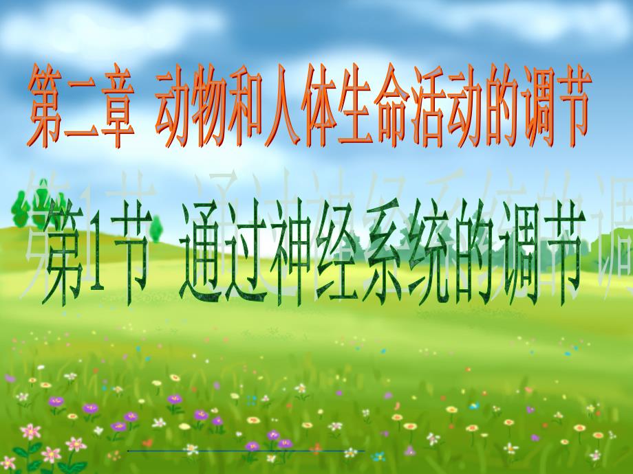 人教版生物必修三通过神经系统的调节.ppt_第1页